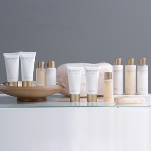 Disposable 5 Star Luxury Hotel Amenities Toiletries Set