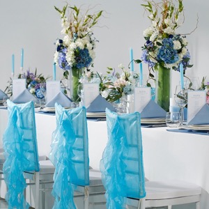 Custom Hotel Restaurant Wedding Spandex Chair Cover