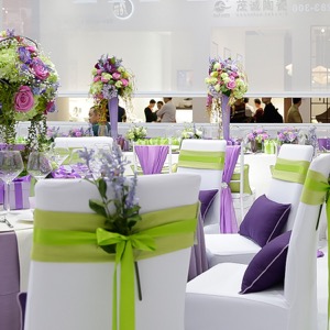 Hotel Restaurant Wedding Spandex Chair Covers