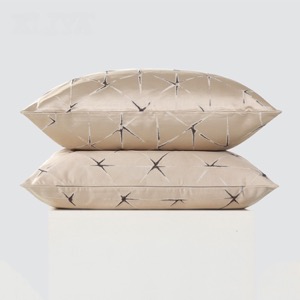 Modern Minimalist Square Pillow Living Room Sofa Model Bedroom Pillow Cushion Bed Decorative Pillows