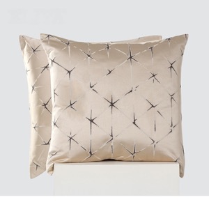 Modern Minimalist Square Pillow Living Room Sofa Model Bedroom Pillow Cushion Bed Decorative Pillows